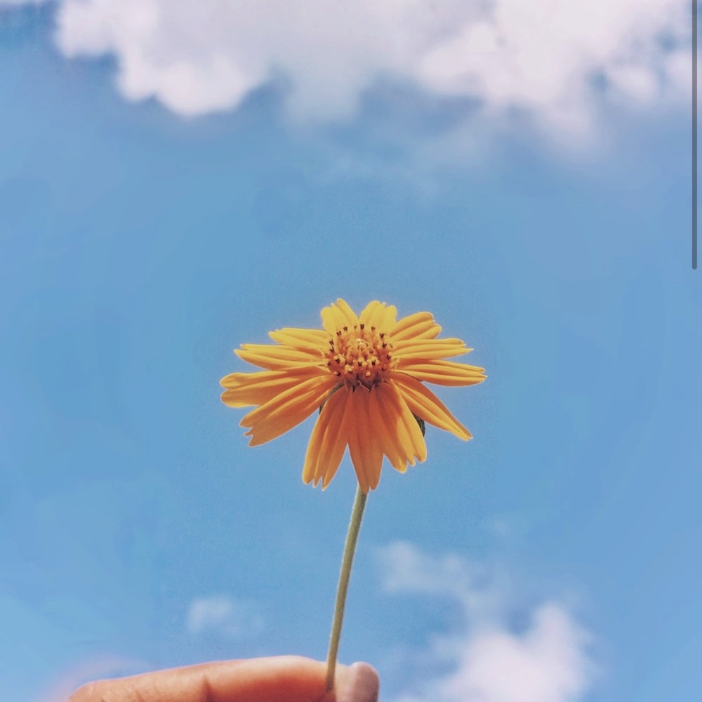 Meet your Posher, Delany